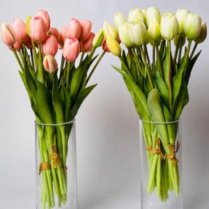 WhatsApp Image 2025-03-01 at 22.38.51