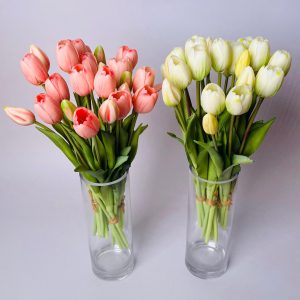 WhatsApp Image 2025-03-01 at 22.39.03