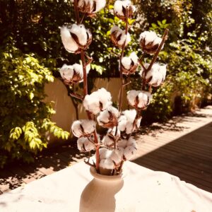 WhatsApp Image 2025-05-10 at 13.51.30 (29)