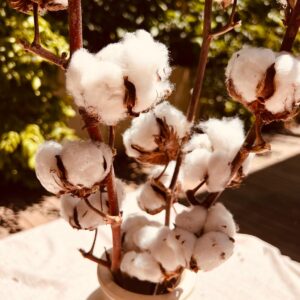 WhatsApp Image 2025-05-10 at 13.51.30 (30)