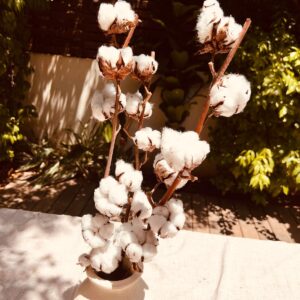 WhatsApp Image 2025-05-10 at 13.51.30 (31)