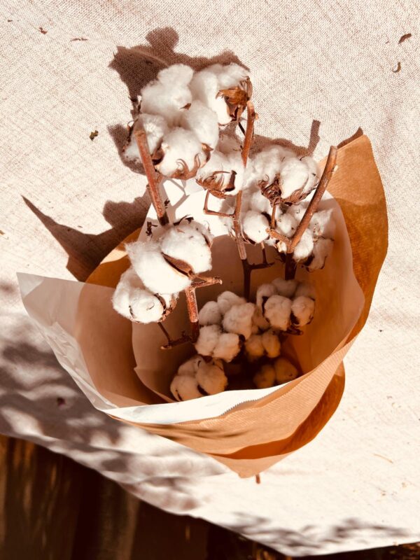 WhatsApp Image 2025-05-10 at 13.51.30 (32)