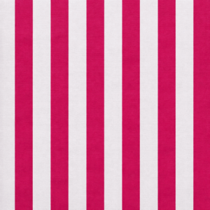 ChatGPT Image Feb 11, 2026, 09_18_49 PM