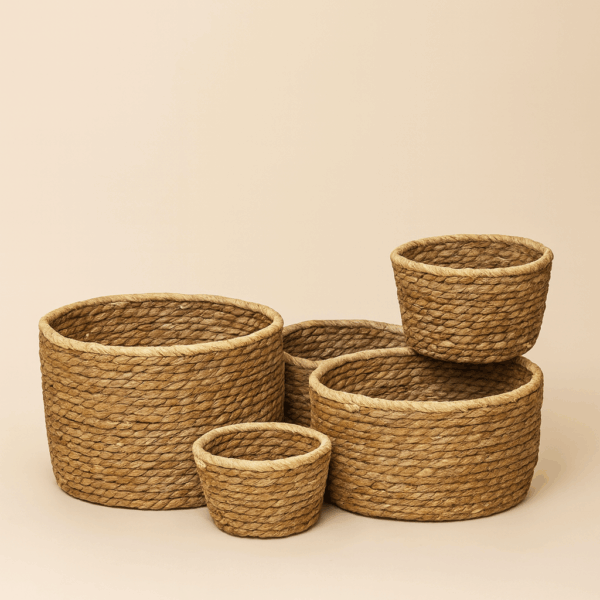 1a3405e9-edfa-425f-927e-cdf0b9002f04