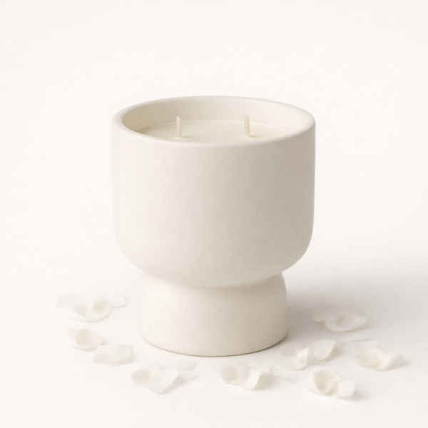 117fb2c5-2535-4004-8deb-115c35385c24